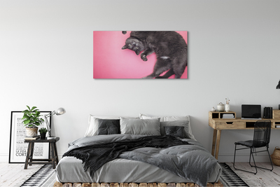 Slika canvas Lažljiva mačka