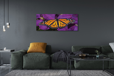Slika na platnu Šareno cvijeće leptira