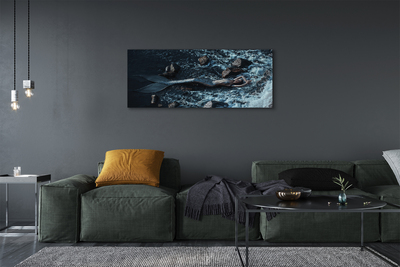 Fotografija na canvas platnu Morska sirena