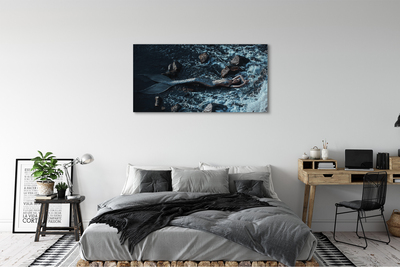 Fotografija na canvas platnu Morska sirena