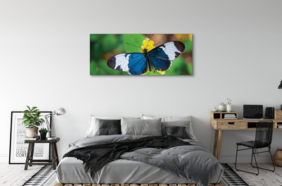 Slika canvas Šareni leptir na cvijeću