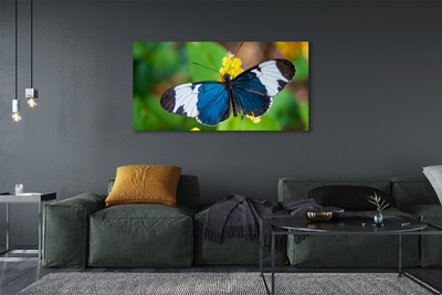 Slika canvas Šareni leptir na cvijeću