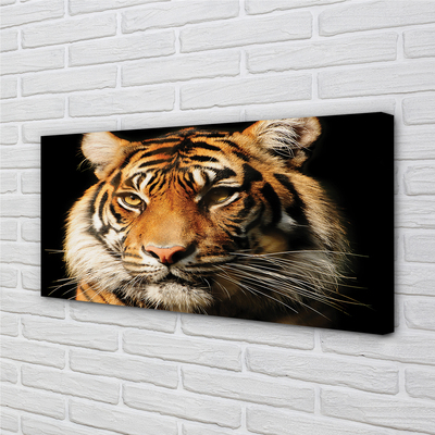Slika canvas Tigar