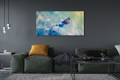 Slika na platnu Šareni leptir