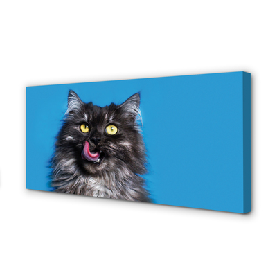 Foto slika na platnu Mačka koja liže