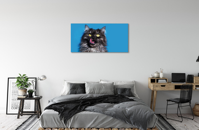 Foto slika na platnu Mačka koja liže