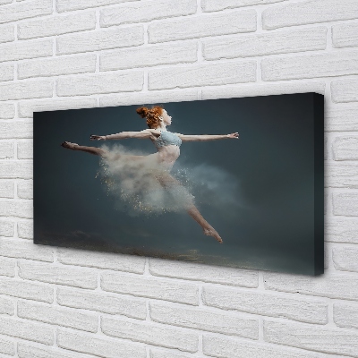 Fotografija na canvas platnu Balerina dim