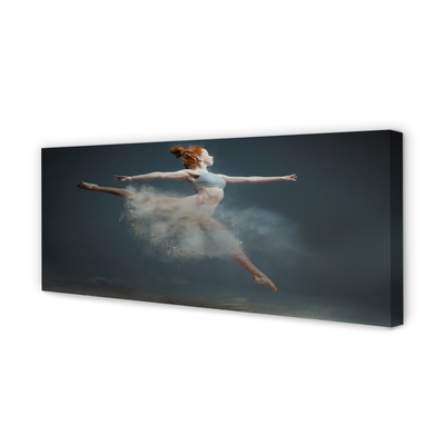 Fotografija na canvas platnu Balerina dim