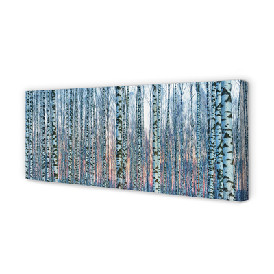 Slika na platnu Zalazak sunca u brezovoj šumi