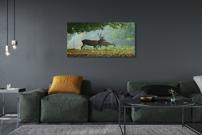 Foto slika na platnu Jesen šumski jelen