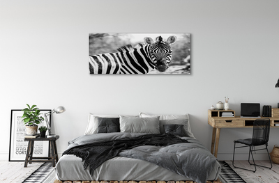 Fotografija na canvas platnu Retro zebra