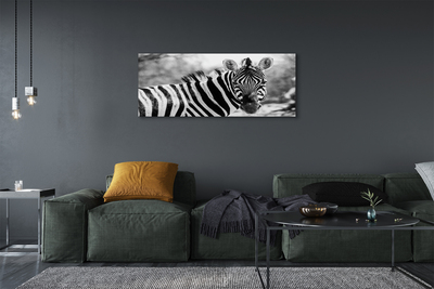 Fotografija na canvas platnu Retro zebra