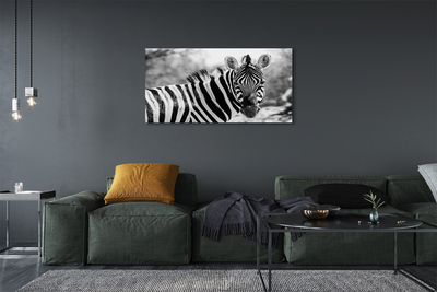 Fotografija na canvas platnu Retro zebra