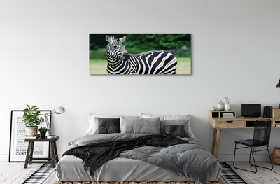 Fotografija na canvas platnu Polje zebra