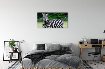 Fotografija na canvas platnu Polje zebra