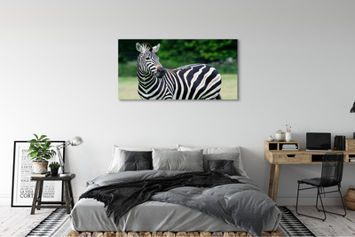 Fotografija na canvas platnu Polje zebra