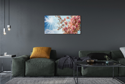 Foto slika na platnu Sunčano nebo magnolije