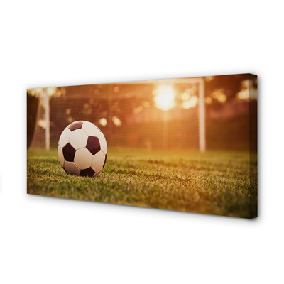 Fotografija na canvas platnu Sun gol lopta