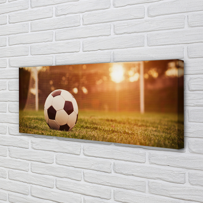 Fotografija na canvas platnu Sun gol lopta