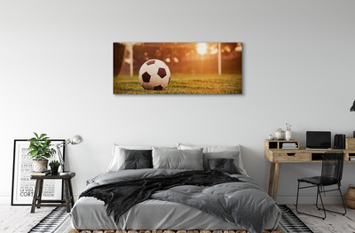 Fotografija na canvas platnu Sun gol lopta