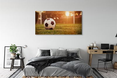 Fotografija na canvas platnu Sun gol lopta