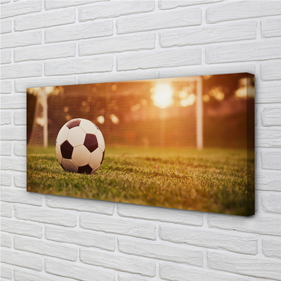 Fotografija na canvas platnu Sun gol lopta