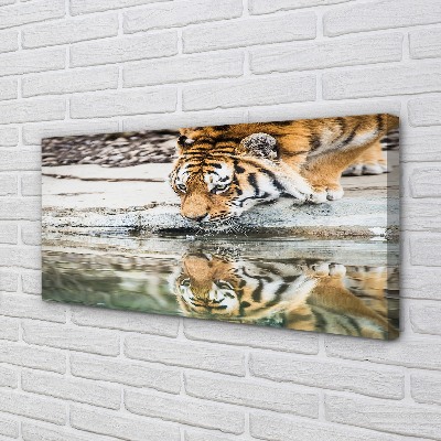 Slika canvas Tigar koji pije