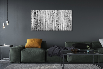 Foto slika na platnu Crne i bijele breze