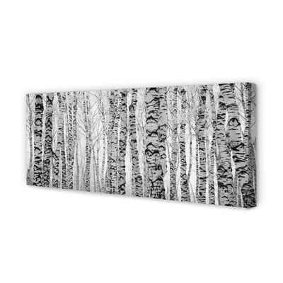 Foto slika na platnu Crne i bijele breze
