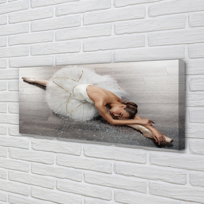 Slika canvas Ženska bijela balerina haljina