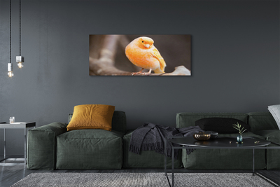 Slika canvas Parrot grana