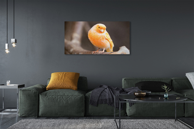 Slika canvas Parrot grana