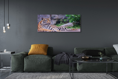 Fotografija na canvas platnu Tigar u zoološkom vrtu