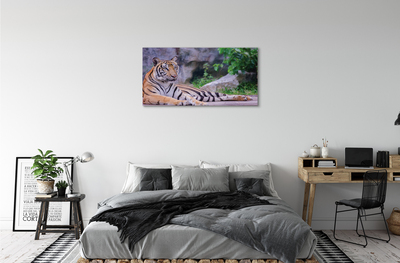 Fotografija na canvas platnu Tigar u zoološkom vrtu