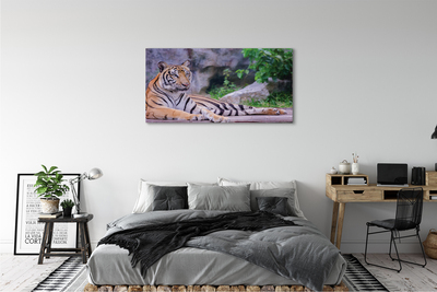 Fotografija na canvas platnu Tigar u zoološkom vrtu