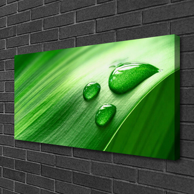 Fotografija na canvas platnu Leaf Water Drops