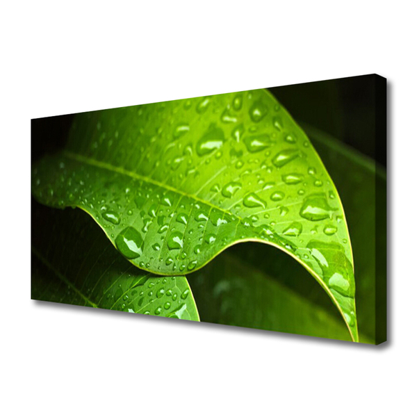 Slika canvas Dew Drops Leaf