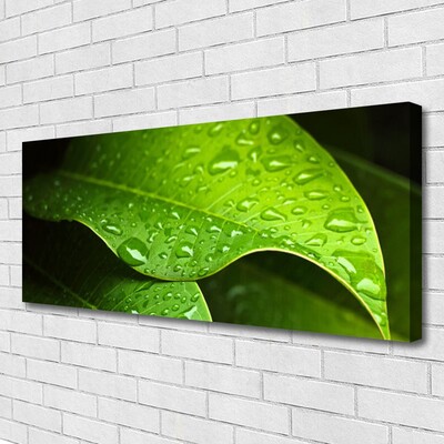 Slika canvas Dew Drops Leaf