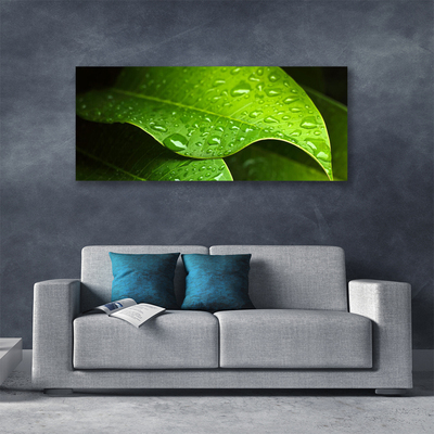 Slika canvas Dew Drops Leaf