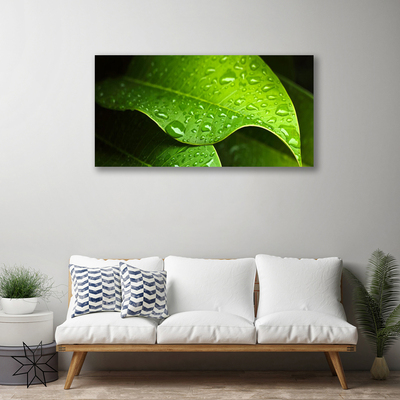 Slika canvas Dew Drops Leaf