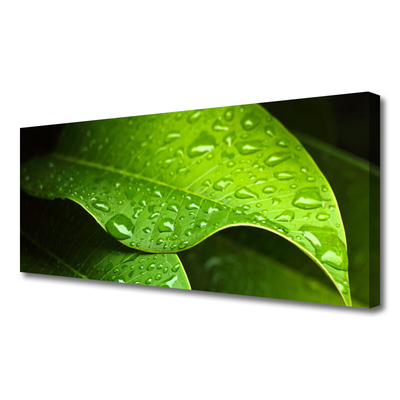 Slika canvas Dew Drops Leaf