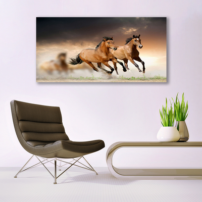 Slika na platnu Konji Životinje