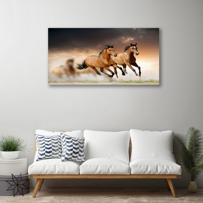 Slika na platnu Konji Životinje