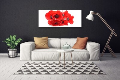 Foto slika na platnu Cvijeće Na Zidu