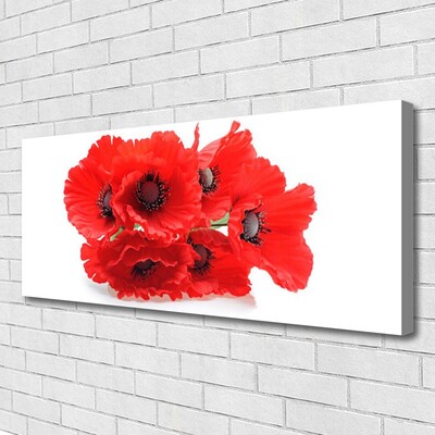 Foto slika na platnu Cvijeće Na Zidu