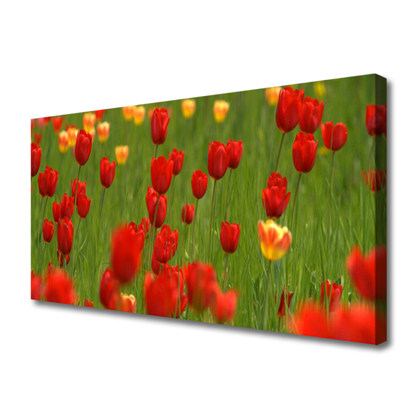 Foto slika na platnu Biljka tulipani