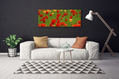 Foto slika na platnu Biljka tulipani