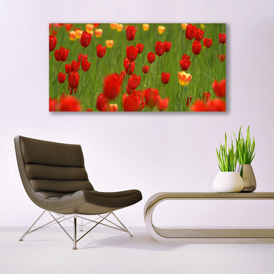 Foto slika na platnu Biljka tulipani