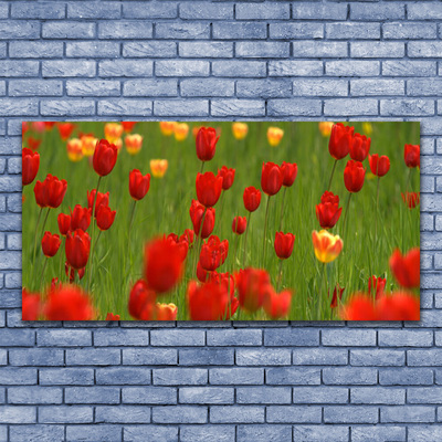 Foto slika na platnu Biljka tulipani