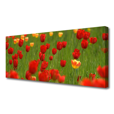 Foto slika na platnu Biljka tulipani